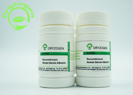 De hoge Biologische Recombinante Activiteit HEEFT Celcultuur iPS Cellen Niet gedifferentieerde Staat houden