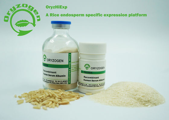 CAS Recombinante 70024-90-7 HEEFT 66.550KD zonder Stabilisator of Capillair-actieve Agent wordt gevriesdroogd die