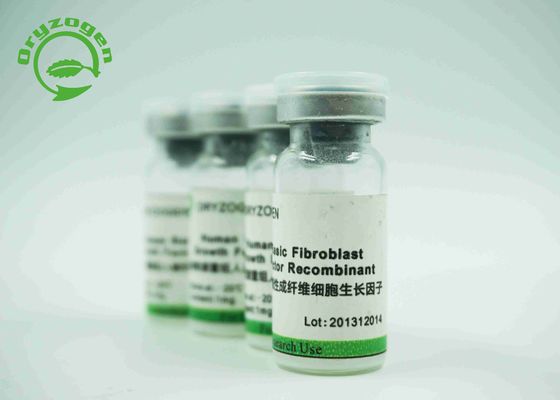Dierlijke Vrije Recombinante Epidermale de Groeifactor rEGF 1 de Eenheden van × 10^6/Mg-Bio-activiteit