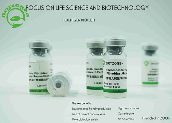 Factor van de de Fibroblastengroei van het rijstendosperm de Specifieke Uitgedrukte bFGF zonder Enig Verontreinigende stoffenrisico