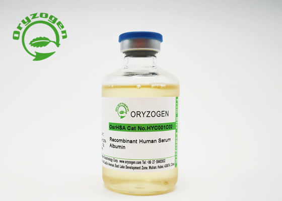 Recombinante Menselijke het Serumalbumine Xeno Free van de vulstofrang