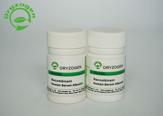 De Oryzogenrijst leidde Recombinante Menselijke Serumalbumine CAS 70024-90-7 af