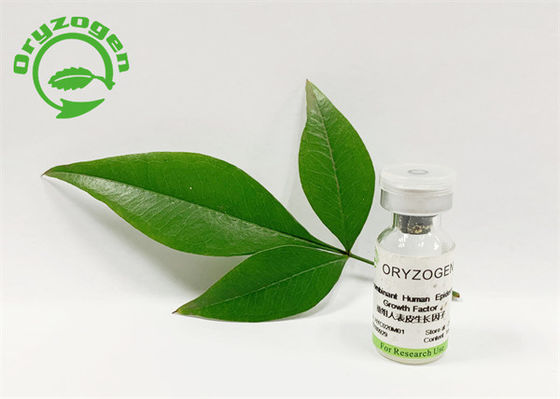 53 aminozuren5.3kd Recombinant Menselijk EGF Gevriesdroogd Poeder