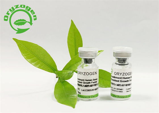 Basisfgf Vorst van Oryza Sativa Cosmetische ingrediënten - droog Poeder
