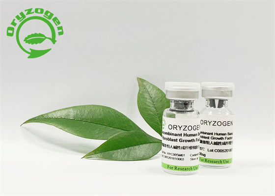 De natuurlijke Factor van de Fibroblastgroei voor het Verbeteren van Huidmetabolisme
