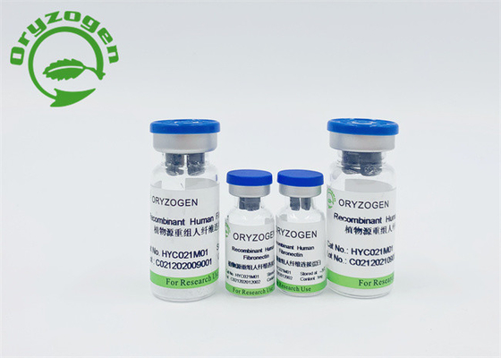 Het Serum Vrije Recombinante Menselijke Fibronectin 86088-83-7 van de rijstkorrel