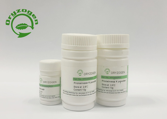 Recombinante Proteïnase K voor covid-19 Nucleic Zuurextractie