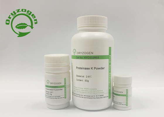 Groter dan Specifieke de Activiteiten Recombinante Proteïnase K van 40 U/MgP voor DNA-Extractie