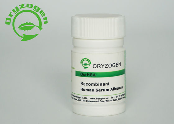 Het wit aan Lichte Beige Recombinant HEEFT de Dierlijke Vrije Component 65℃ van M/P