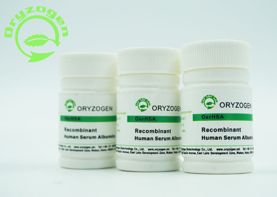 Het wit aan Licht Beige Gevriesdroogd Recombinant Poeder HEEFT Gediplomeerde ISO