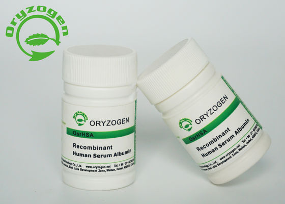 Sativa HEEFT Recombinant van M/P 65℃ Oryza het Molecuulgewicht van de Poeder99% Zuiverheid 66.5kD