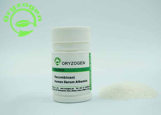 Groter dan 99% Recombinante HEEFT de Zuiverheid rHSA Vorst - droog Poeder 4,8 pi