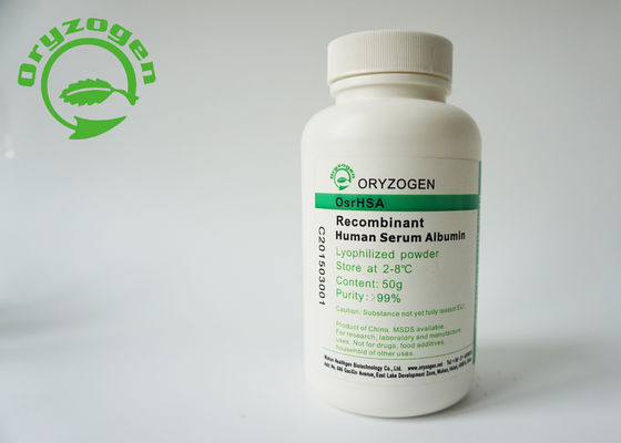 Oryza Sativa heeft Recombinant van Rijstendosperm Specifiek Platform uitgedrukt