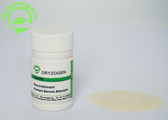 Van het de Cultuur HEEFT de Recombinante Menselijke Bloed van de stamcel het Serumalbumine bijna Geen Endotoxin