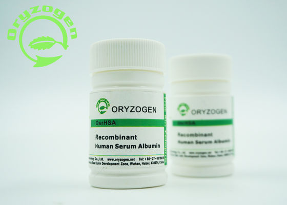 Groter dan 99% Recombinante HEEFT de Zuiverheid rHSA Stabilisator zonder Dierlijke Componenten