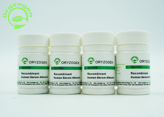 Oryza Sativa HEEFT Recombinant Vorst - droge Menselijke de Albumineproteïne van de Poeder66.554kd Moleculaire Massa