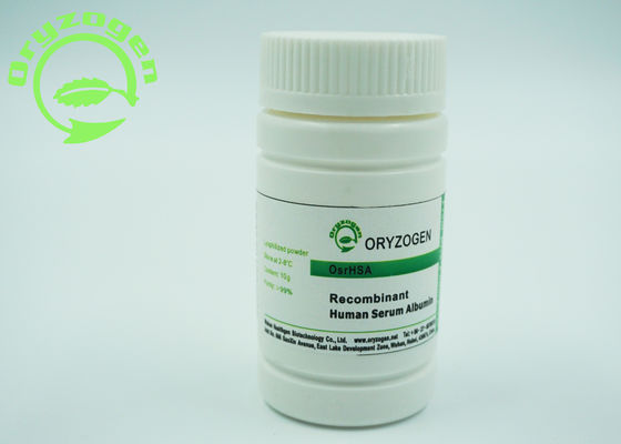 Oryza Sativa HEEFT Recombinant Vorst - droge Menselijke de Albumineproteïne van de Poeder66.554kd Moleculaire Massa