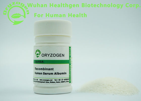 HEEFT de Menselijke het Serumalbumine van hoge Zuiverheidsoryzogen het Molecuulgewicht van de Celcultuur 66.5KD