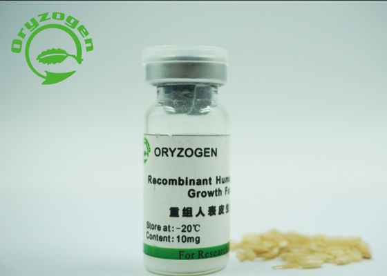 Het lage Endotoxin Recombinante Menselijke Epidermale Witte Losse Lichaam van de de Groeifactor