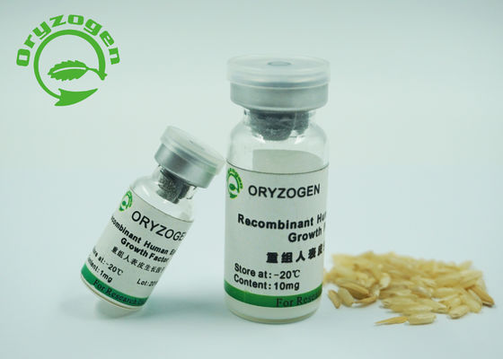 van de de Groeifactor van 6.3kD Recombiannt Epidermale de Gistoorsprong voor Celcultuur