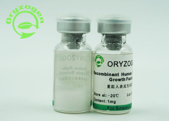 Van de de Groeifactor van EGF het Epidermale Witte Gevriesdroogde Poeder met Endotoxin de minder dan 1,0 EU/mg