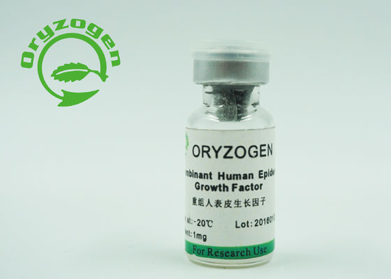 Gist van de de Groeifactor EGF van CAS 62253-63-8 leidde de Menselijke Epidermale niet af - Dierlijke Component