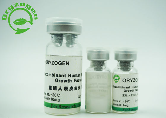 De gist Afgeleide van de de Groeifactor van EGF Epidermale Opgeslagen Temperatuur van de de Huidzorg -20℃