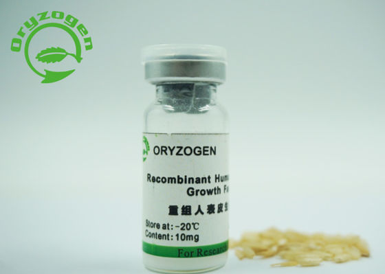 53 Factor van de de Factorenegf Groei van de aminozuren6.3kd de Recombinante Epidermale die Groei met Mannitolstabilisator wordt gevriesdroogd