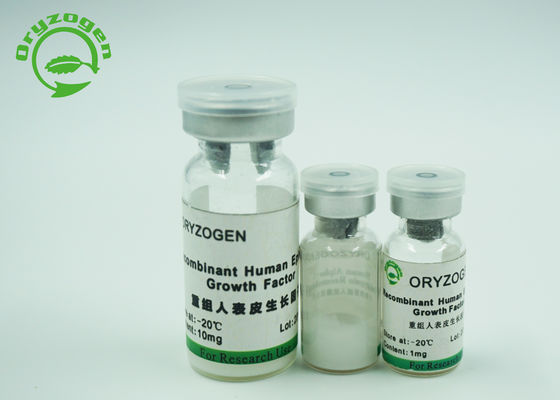 Vorst - droge Eiwit Epidermale de Groeifactor Egf voor Huidschoonheidsmiddelen 1Ng/ml ED50
