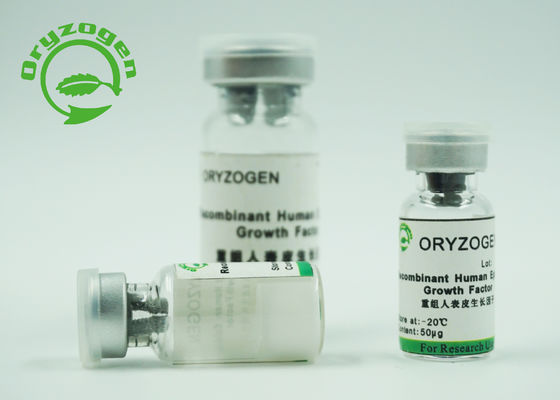 De hoge de Factorenefg 98% Zuiverheid van de Bio-activiteit Menselijke Recombinante Epidermale Groei voor Huid vernieuwt/Reparatie