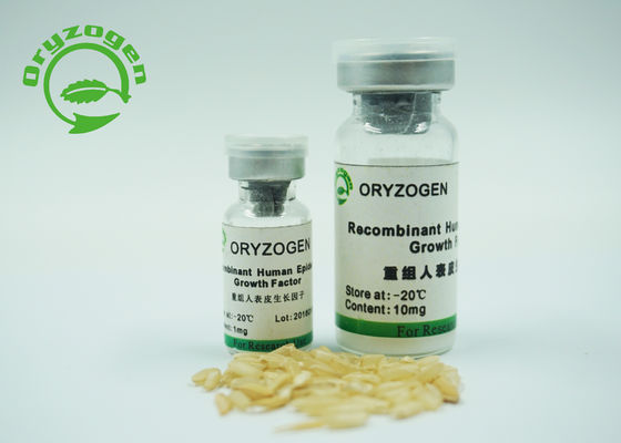 6.3kD epidermale die de Groeifactor EGF van Gist wordt uitgedrukt