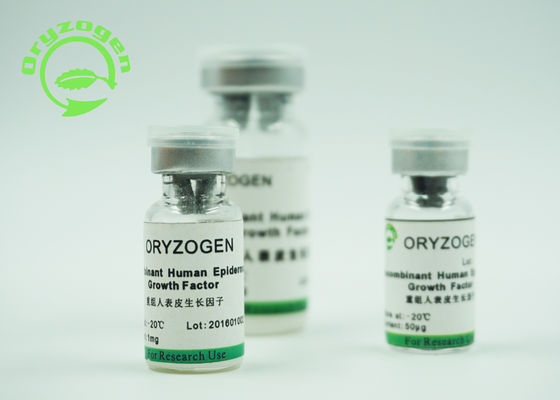 Recombinante Menselijke Epidermale de Groeifactor 1 × 10^6 Unitis/Mg Bio-activiteit door de Celanalyse van Balb/C 3T3
