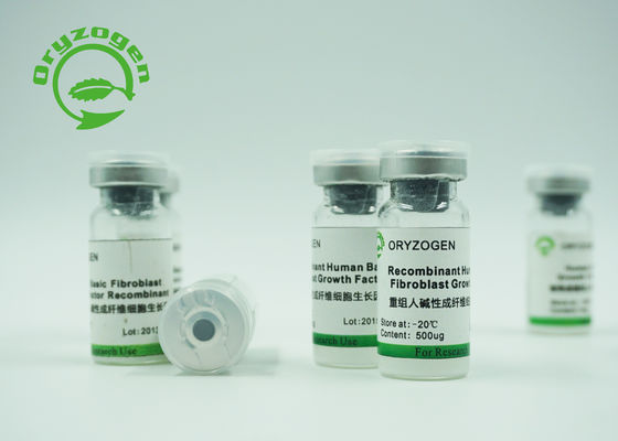 Recombinante Eiwitbfgffactor Oryza Sativa Gehaalde -20℃ Storaged