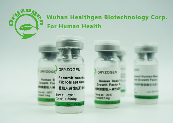 De lage Endotoxin Basis Afgeleide Installatie van het de Factoren bFGF Gevriesdroogde Poeder van de Fibroblastgroei
