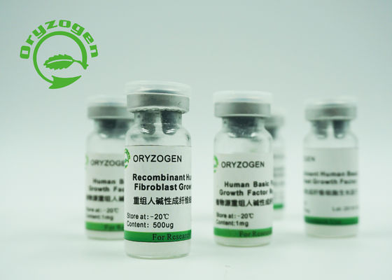 Hoge de Groeifactor BFGF van de Bio-activiteit Recombinante Basisfibroblast voor Schoonheidsmiddelen