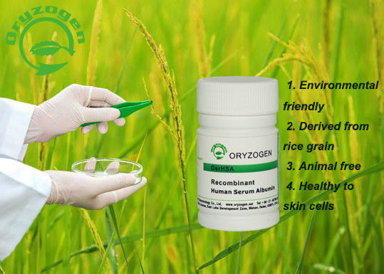 Lichte Beige Recombinante Menselijke Serumalbumine 66.5kD Anti - het Verouderen Organische Plantaardige oorsprong