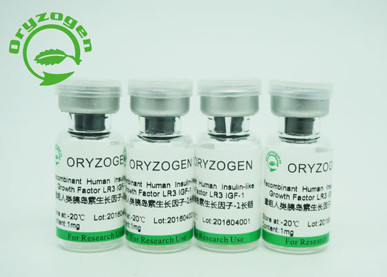 Groter dan 90%-Zuiverheid Recombinante IGF 1 Lange R3-de Groeifactor die de Celgroei bevorderen