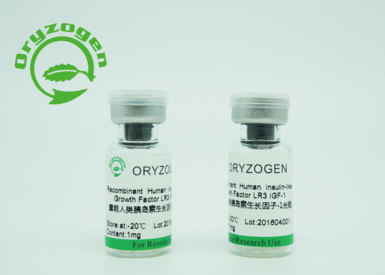 Gistoorsprong Recombinante IGF 1 Lange R3 Gevriesdroogde Groter dan 90%-Zuiverheid voor Serum - Vrij Middel