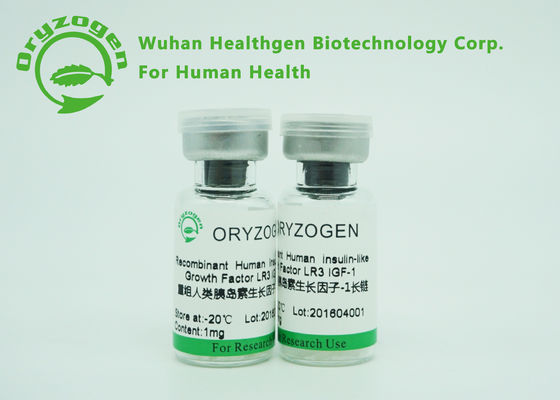 Wit Gevriesdroogd Poeder Recombinante IGF 1 Lange Lage Endotoxin van R3 voor Onderzoek