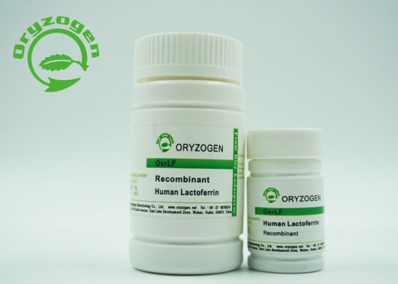 Lactoferrin van de celcultuur Recombinant Menselijk Vervoerijzer die de Celgroei bevorderen