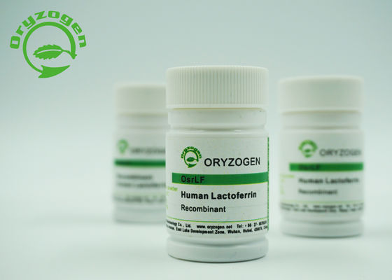 De Oorsprongs Recombinante Menselijke Lactoferrin van de rijstkorrel Biologische Onderzoekreagentia 146897-68-9