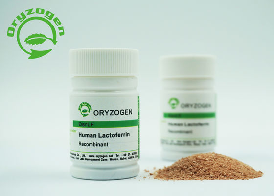 Gevriesdroogd Poeder Recombinant Menselijk Lactoferrin Laag Endotoxin 80Kd Molecuulgewicht
