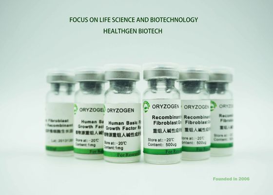 Van de rbFGFgroei van ISO de Gediplomeerde van de Factorenoryza Sativa Oorsprong