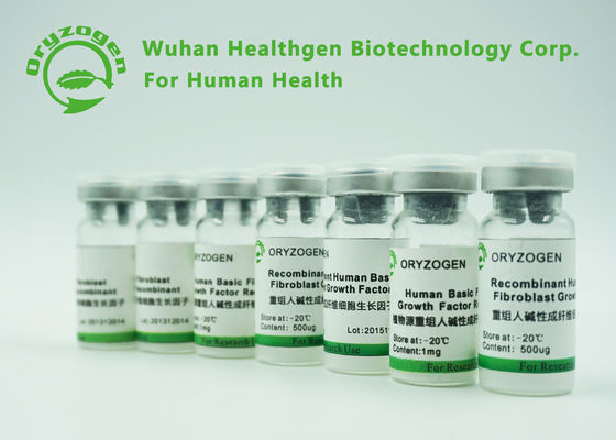 Van de de Groeifactor van de hoge Zuiverheids de Menselijke Fibroblast Biologische Reagentia bFGF voor Wetenschapsonderzoek
