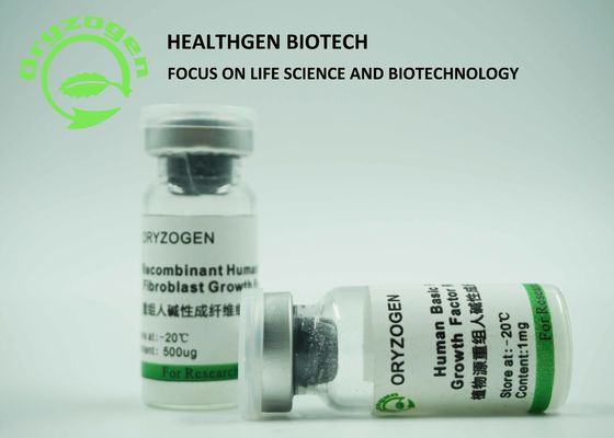 Van de Oorsprongs het Recombinante bFGF van de rijstkorrel Molecuulgewicht van de de Groeifactor 17KD