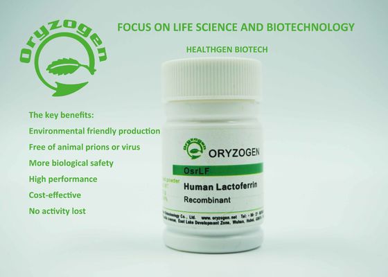 OsrhLFlactoferrin Menselijke Recombinante Eiwit Biologische Reagentia voor Biopharmaceuticals