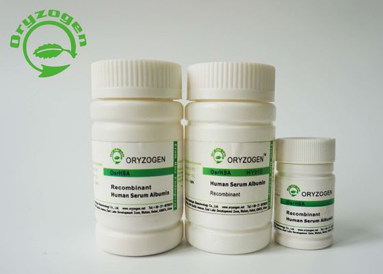 De lage Endotoxin Recombinante Serumalbumine HEEFT Celcultuur voor Vaccinvervaardiging/Formulering