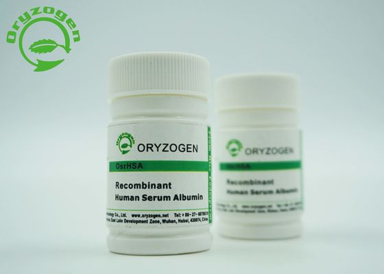 Dierlijke Vrije Recombinante Menselijke het Serumalbumine van de vulstofrang rHSA voor de Vulstof van het Vaccinonderzoek