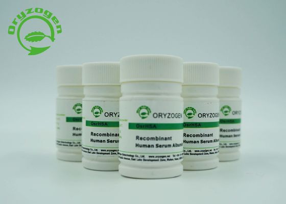 HEEFT de Recombinante Menselijke Albumine van CAS 70024-90-7 met minder dan 0.125EU/Mg-Endotoxin
