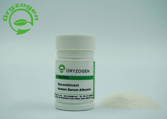 Recombinante rijst de Korrel HEEFT van de de Celcultuur van het Vaccinonderzoek Ingrediënt rHSA 70024-90-7